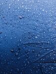 雨伞上的水珠 下雨