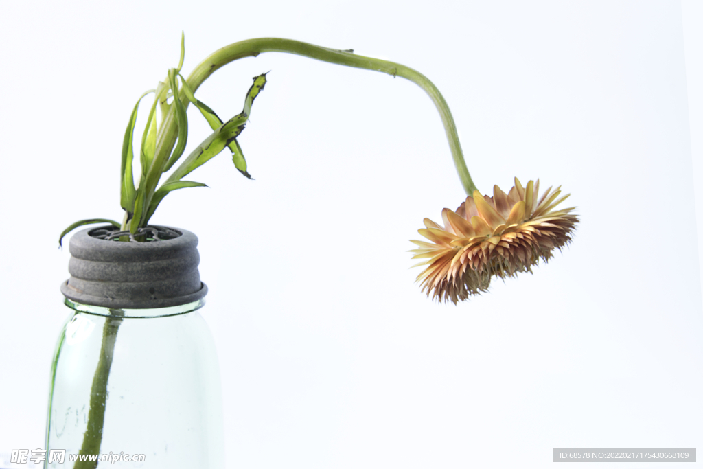花