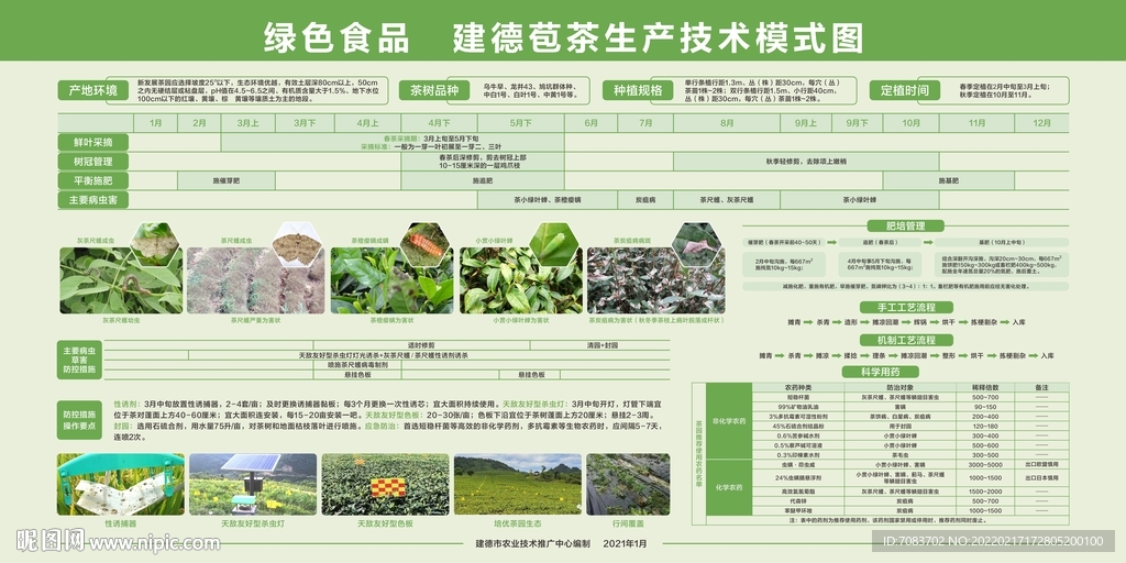 茶生产技术模式图