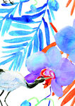 花卉手绘