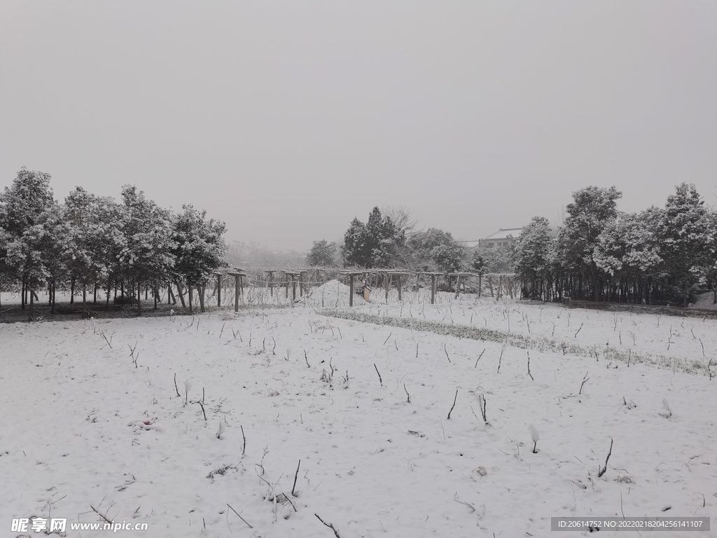 美丽的雪景