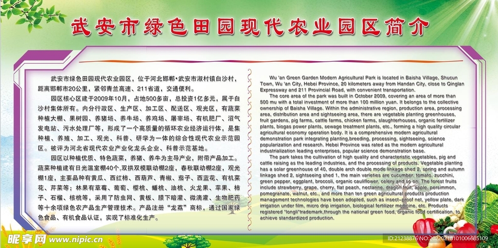 公司简介
