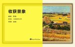名画介绍 致敬梵高 收货景象