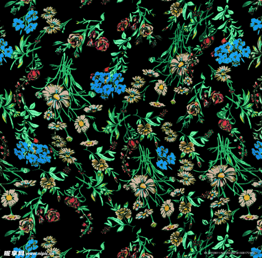 花 扫描图