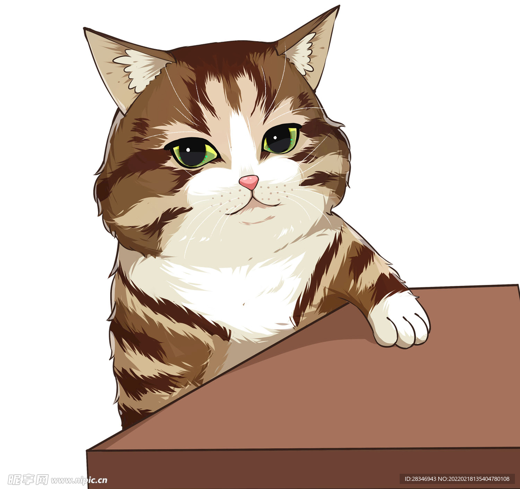 猫              