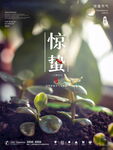 惊蛰海报