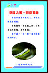 企业文化  企业展板 公司口号