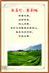 企业文化  企业展板