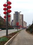 路灯杆灯笼