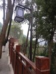 公园路灯