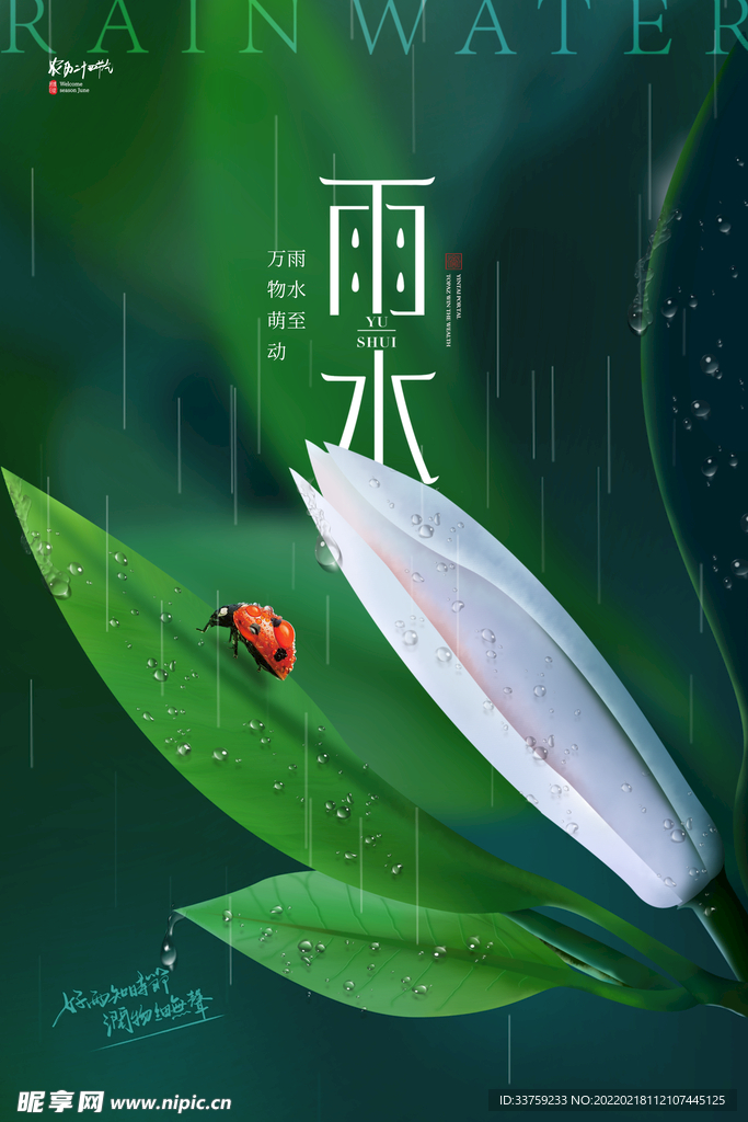 雨水