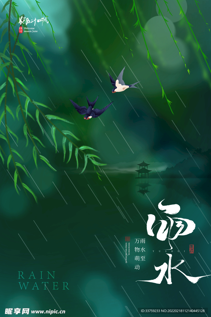 雨水