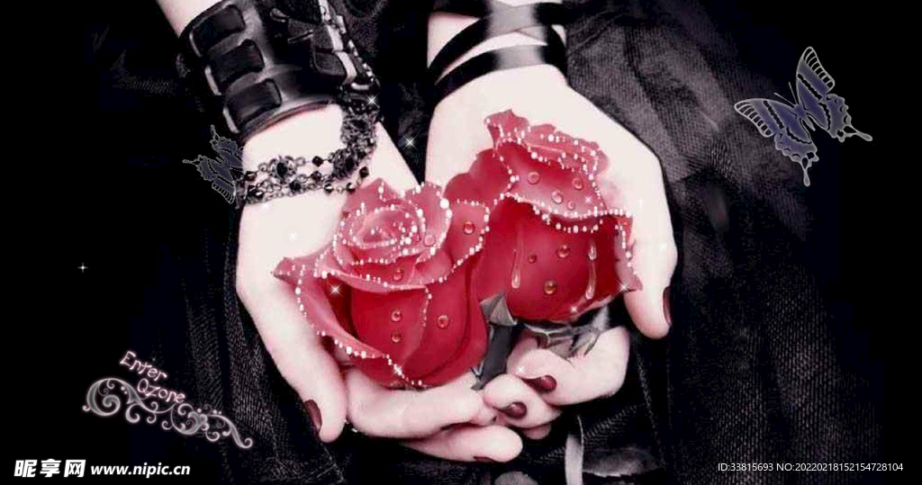 玫瑰花
