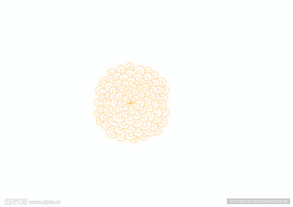 花纹