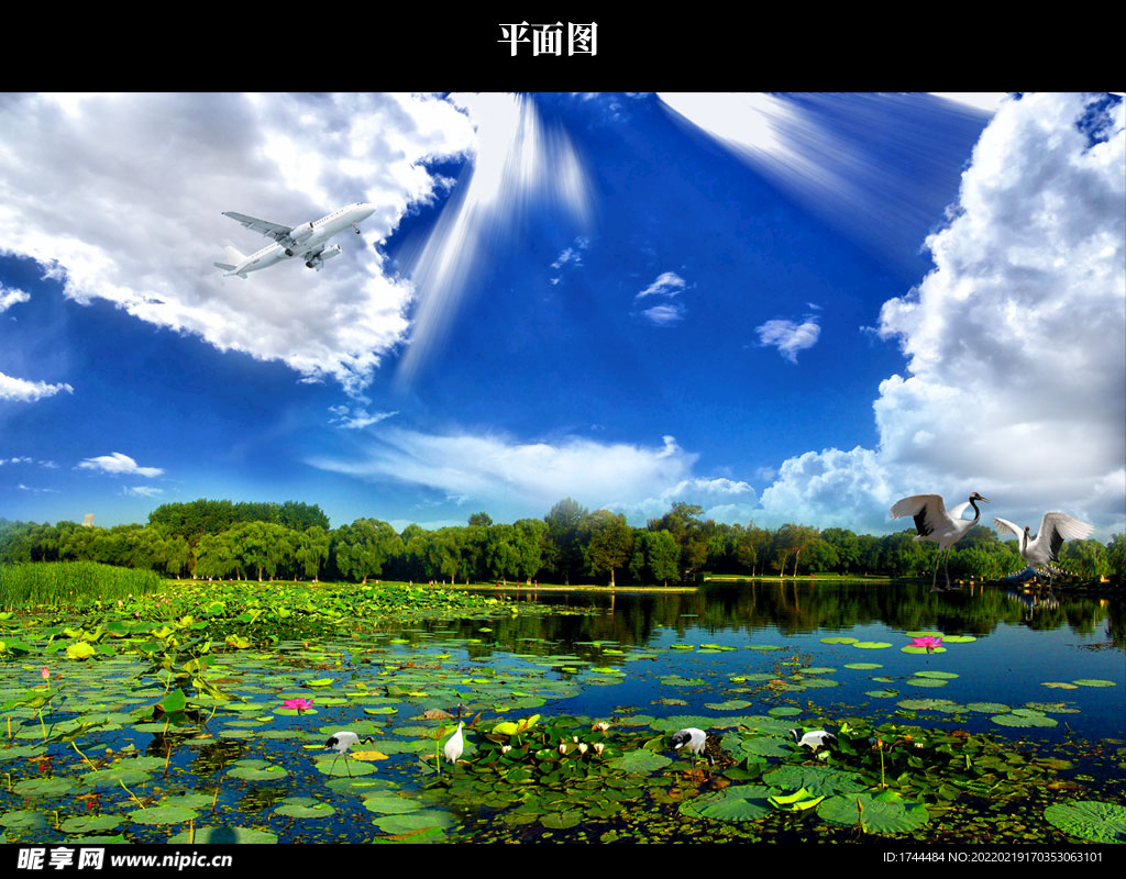 春天 图片