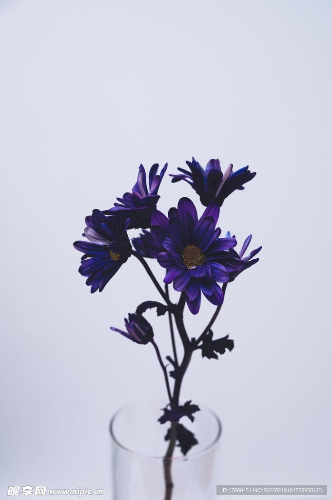 花卉