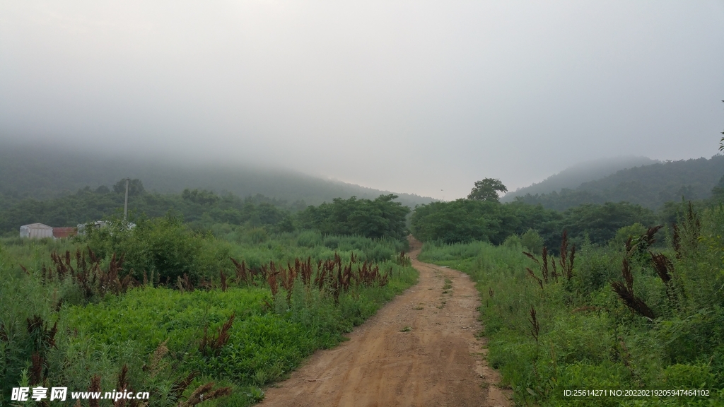 雾天山路