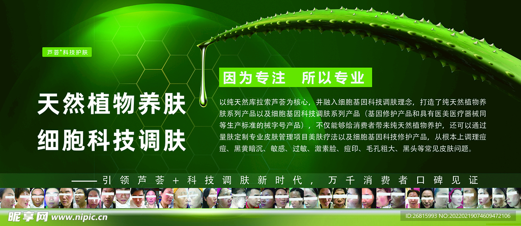 芦荟天然植物养肤