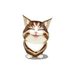 猫              