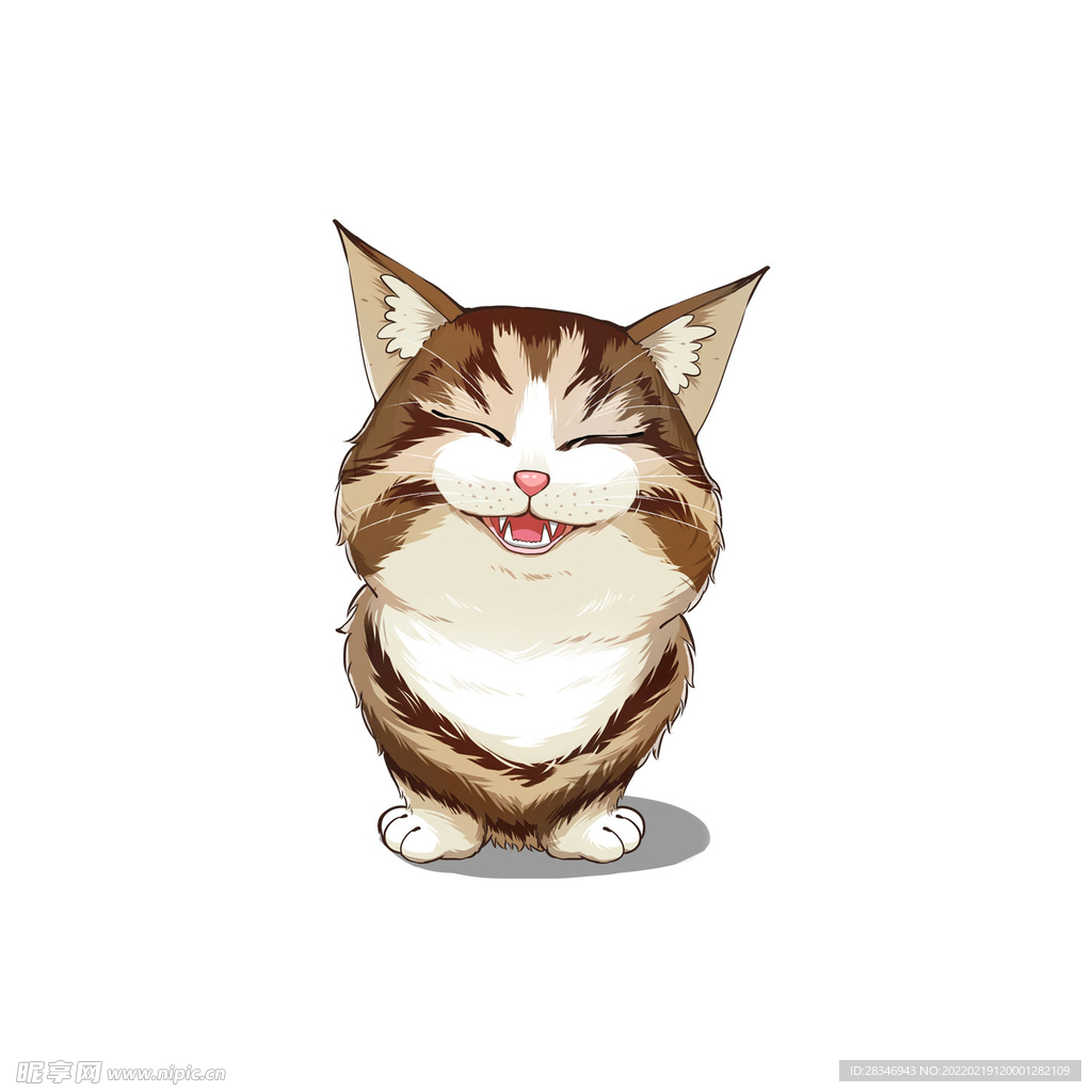 猫              