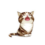 猫              