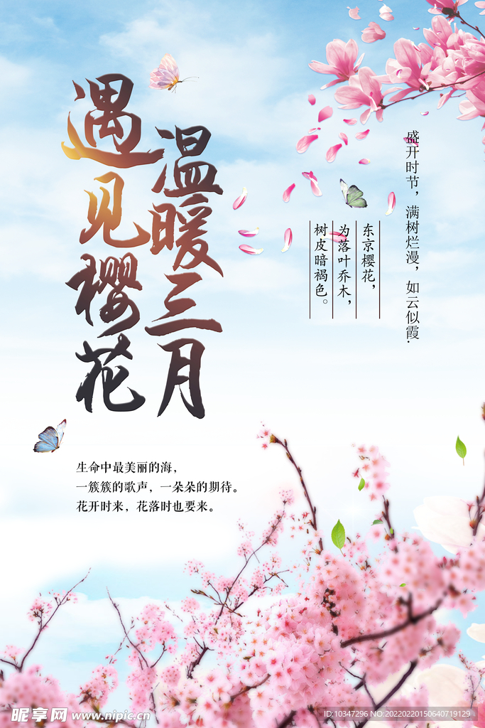 樱花节  春暖花开 春季海报 