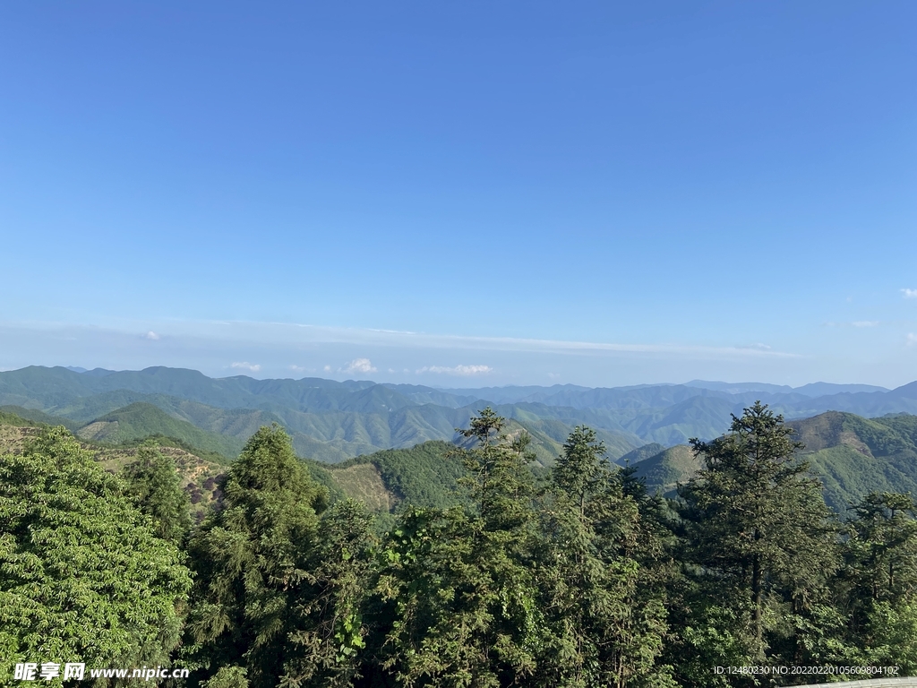 蓝天 森林