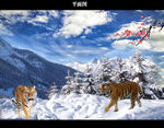 冬季雪景摄影美图图片