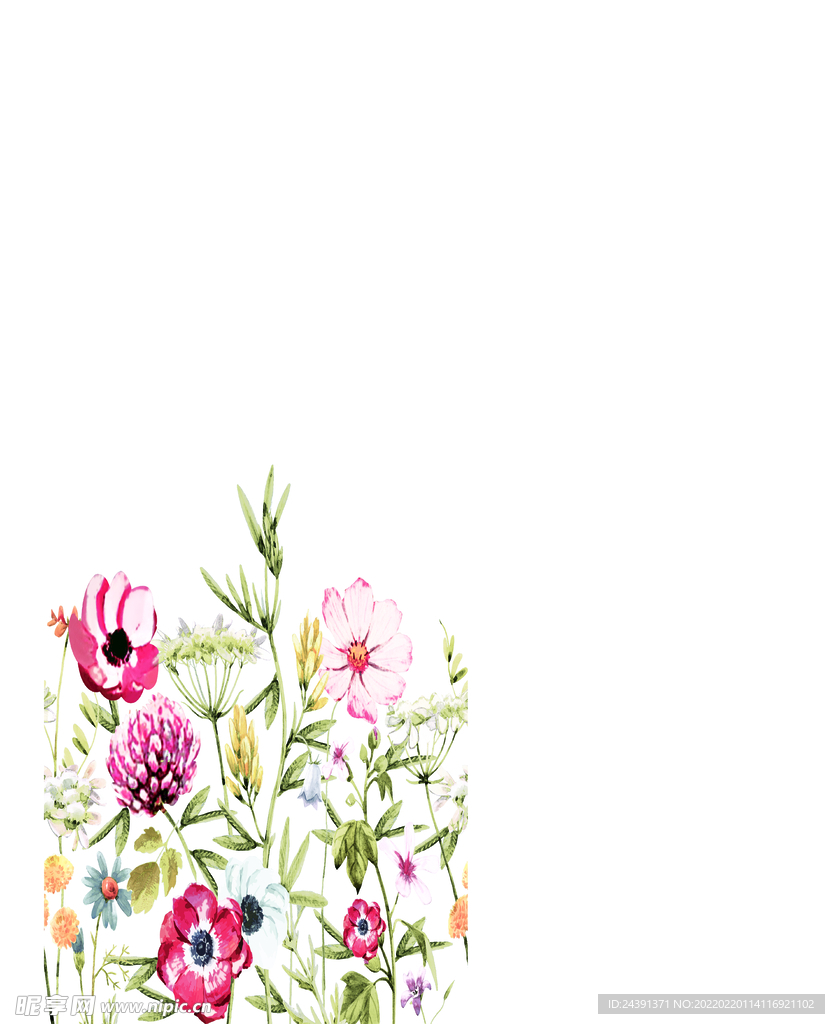 定位花