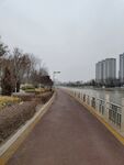 路