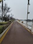 路