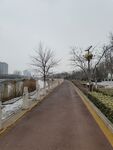 路