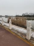 湖水