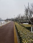 路