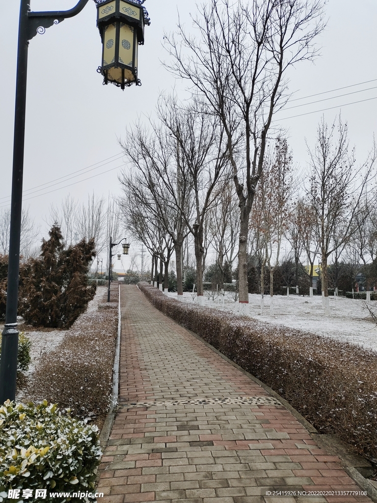 路