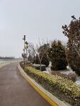 路