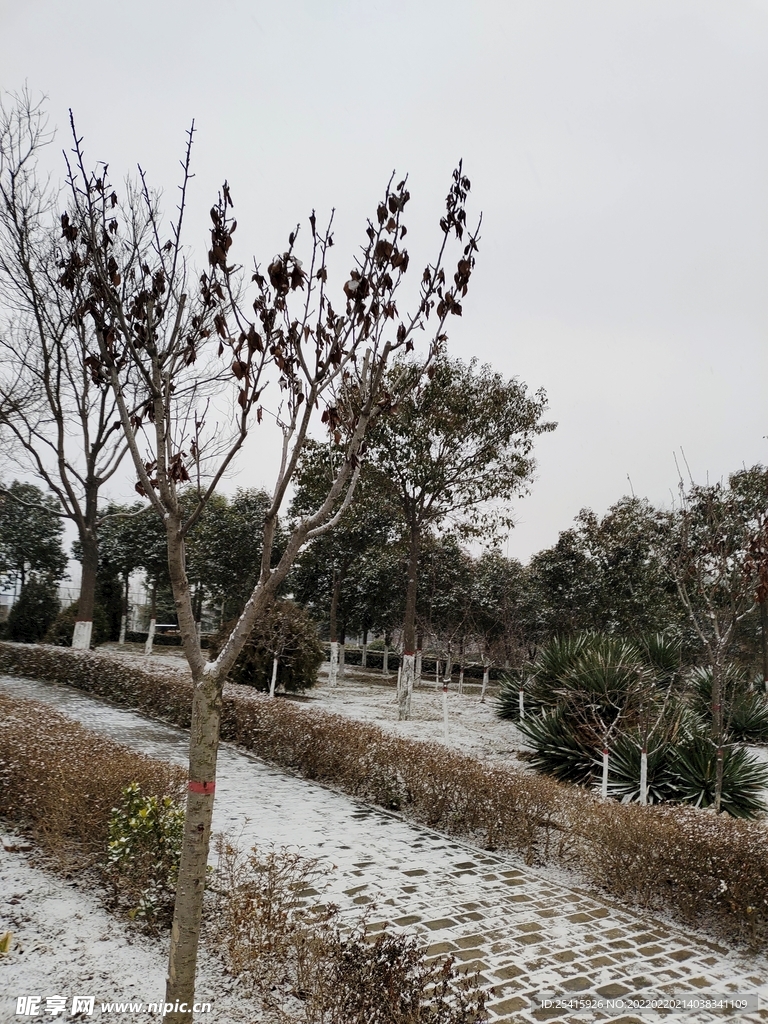 树