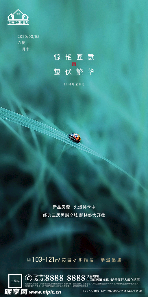 地产惊蛰节气微信海报