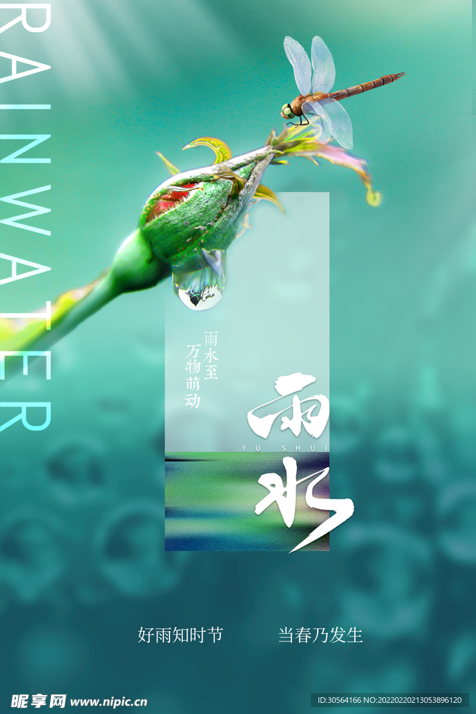 雨水