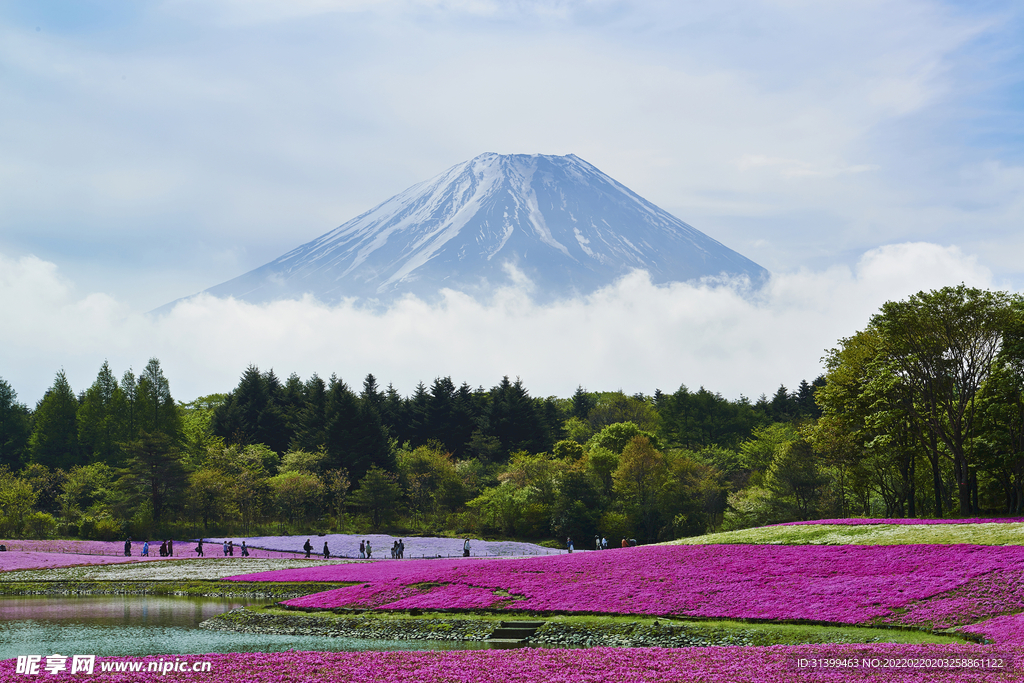 日本旅游风光         