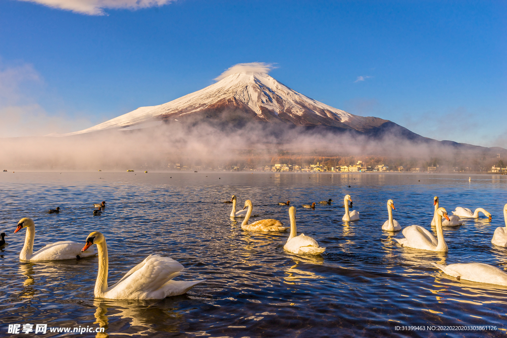 日本旅游风光         