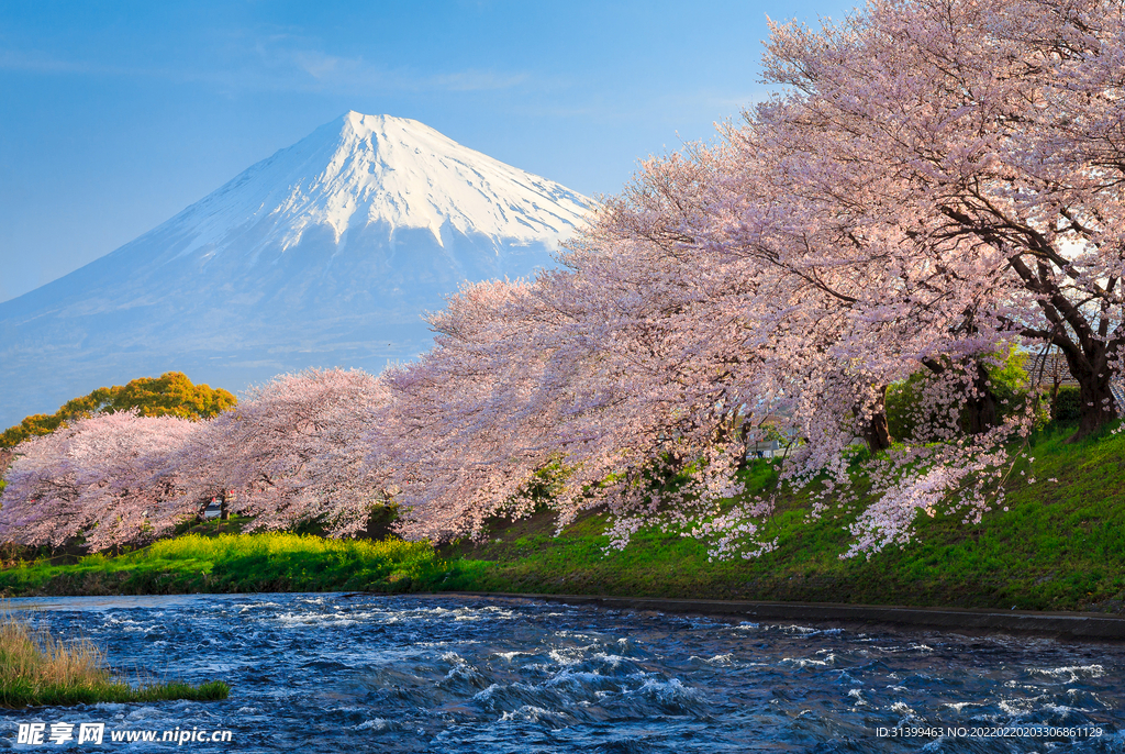 日本旅游风光         