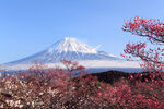 日本旅游风光         