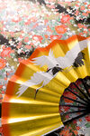 日本旅游风光         