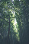 日本旅游风光         