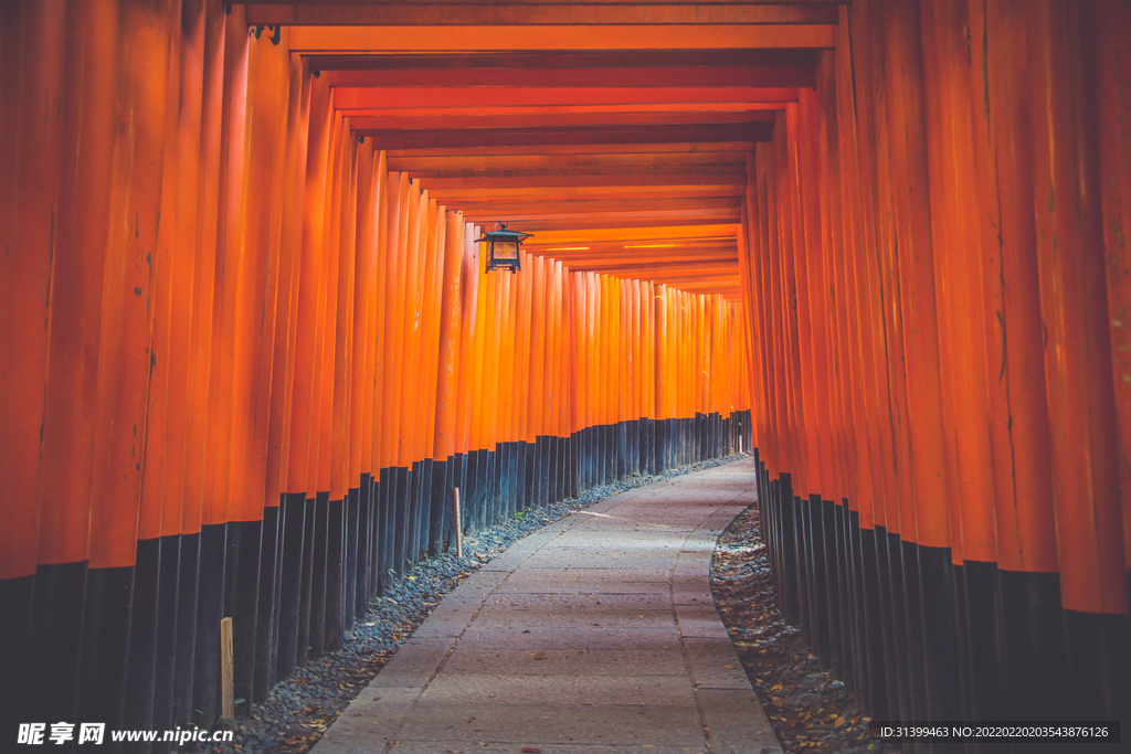 日本旅游风光         