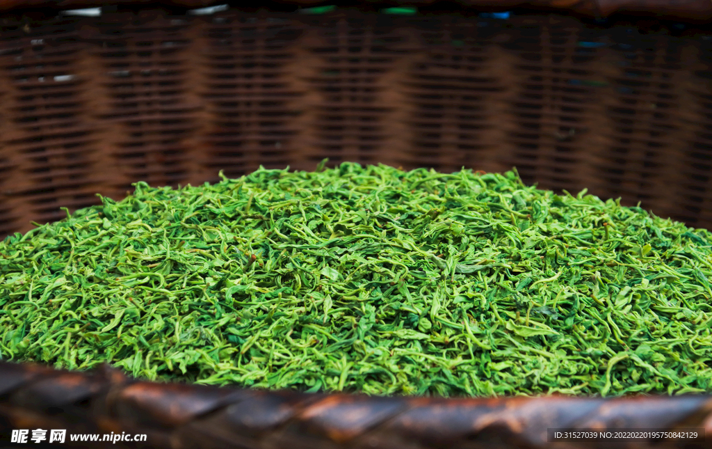 绿茶茶叶摄影素材