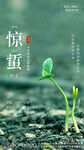 惊蛰时节节气万物复苏植物发芽