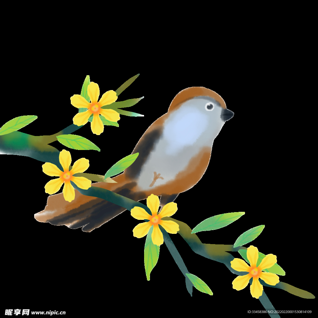 春分花鸟花枝