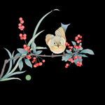 国画花鸟水墨工笔红果
